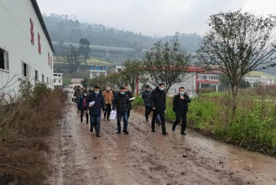 馬邊縣正極材料項(xiàng)目召開現(xiàn)場辦公會