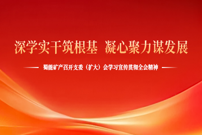 深學(xué)實(shí)干筑根基 凝心聚力謀發(fā)展&mdash;&mdash;蜀能礦產(chǎn)召開支委（擴(kuò)大）會(huì)學(xué)習(xí)宣傳貫徹全會(huì)精神